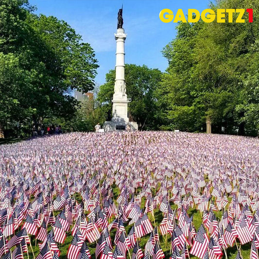 Memorial day sale : 15% Discount Hurry!